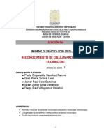 Sem 4 - Informe Practica 4 - 2020-II