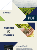 Audit