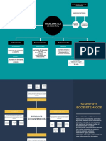 Mapa Conceptual y Mental - Entrega Final