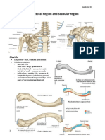 Anatomy 03 - Pectoral and Scapular Region (Pre Med 101)