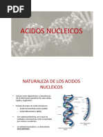 Acidos Nucleicos