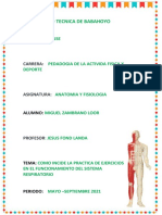 Como Incide La Práctica de Ejercicios Físicos en El Funcionamiento Del Sistema Respiratorio