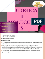 Biologica L Molecule S: Carbohydrates Proteins Lipids Nucleic Acids