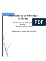 Mecanismosde Defensa en Redes