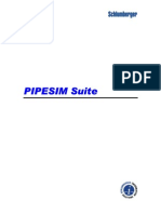 Pipesim User Guide