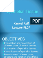 Epithelial Tissue..