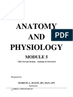 Anatomy and Physiology - Module 5