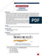 Sesion 13 - Practica 11. Mutaciones Genicas