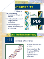 What You'll Learn: You Will Distinguish Among Different Types of Mutations