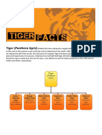 Tiger Facts