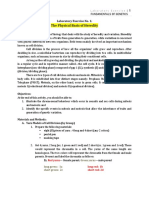 Laboratory Exercise 1A - Yarn Models