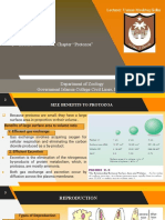 2 Lecture Chapter "Protozoa": Lecturer: Usman Mushtaq Sidhu