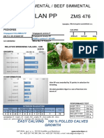 Alan PP: Masný Simentál / Beef Simmental