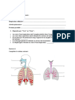 La Respiration Exercices 3AC