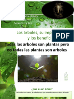 Los Arboles Su Importancia y Los Beneficios para El Ser Humano