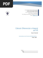 GUIA TUTORIAL - Cálculo Diferencial e Integral em IR 2021