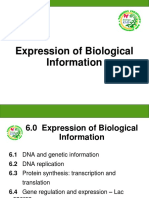 6.3 Protein Synthesis