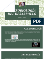 Neurobiología Del Desarrollo