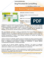 RAVEN S 2. Matrices Progresivas