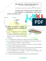 B.1.5 - Ficha de Trabalho - Sistema Cardiovascular