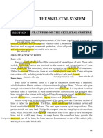 (Reading 3) The Skeletal System