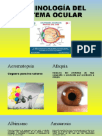 Clase 6 - SISTEMA OCULAR