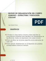 2-Niveles de Organización Del Cuerpo Humano