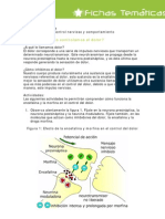 Control Nervioso y Comportamiento - Estud