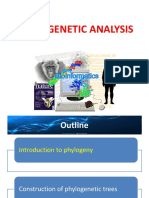 Bioinfo - S1 2021 - L7 - Phylogeny - 1 Slide