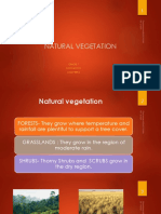 Natural Vegetation: Grade 7 Geography