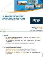 4 - Production Fond Des Puits Completion