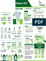 Segurança Pública em Números 2018