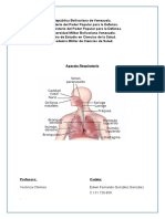 Bioquímica 1