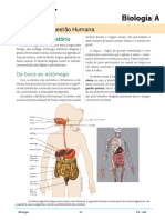 Bio04 - Digestão Humana