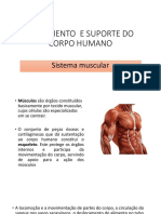 Movimento E Suporte Do Corpo Humano: Sistema Muscular