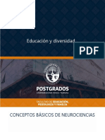 Educación y Diversidad: Conceptos Básicos de Neurociencias