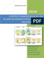 Cortes Transversales en Plantas Monocotiledoneas y Dicotiledoneas