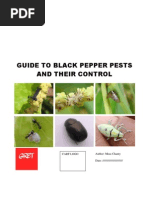 Black Pepper Field Guide