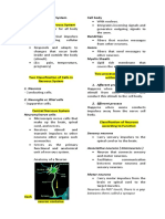 The Nervous System Notes