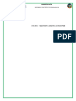 Informe Sintético-Semana 14