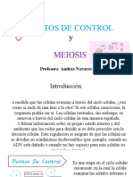 Puntos de Control y Meiosis