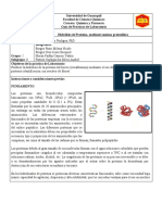 Informe 13 - Proteinas