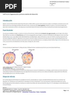 CAPÍTULO 6 - Segmentación y Primeros Estadios Del Desarrollo