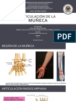 (Anatomía) Articulación de La Muñeca