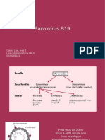 Virus B19 CALOIN Lise