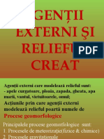 Agentii Externi Si Relieful Creat