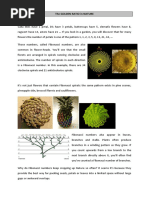 The Golden Ratio in Nature