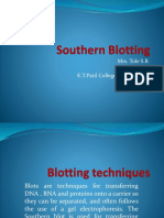 Southern Blotting