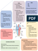 Carte Mentale Fonction Cardio