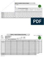 Formatos Cargas de Trabajo